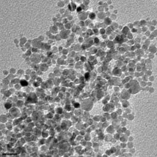 A TEM image of silver nanoparticles as seen using a Transmission Electron Microscope