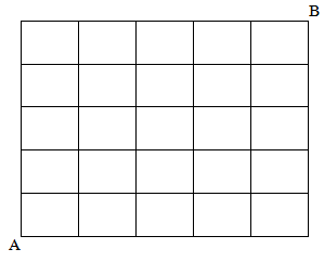  This grid shows how a taxi driver must get from point A to point B.