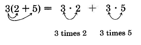 3 times the quantity two plus five. Arrows point from the three to both the two and the five. This is equal to three times two plus three times five.