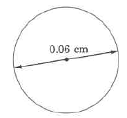A circle of diameter 0.06cm.
