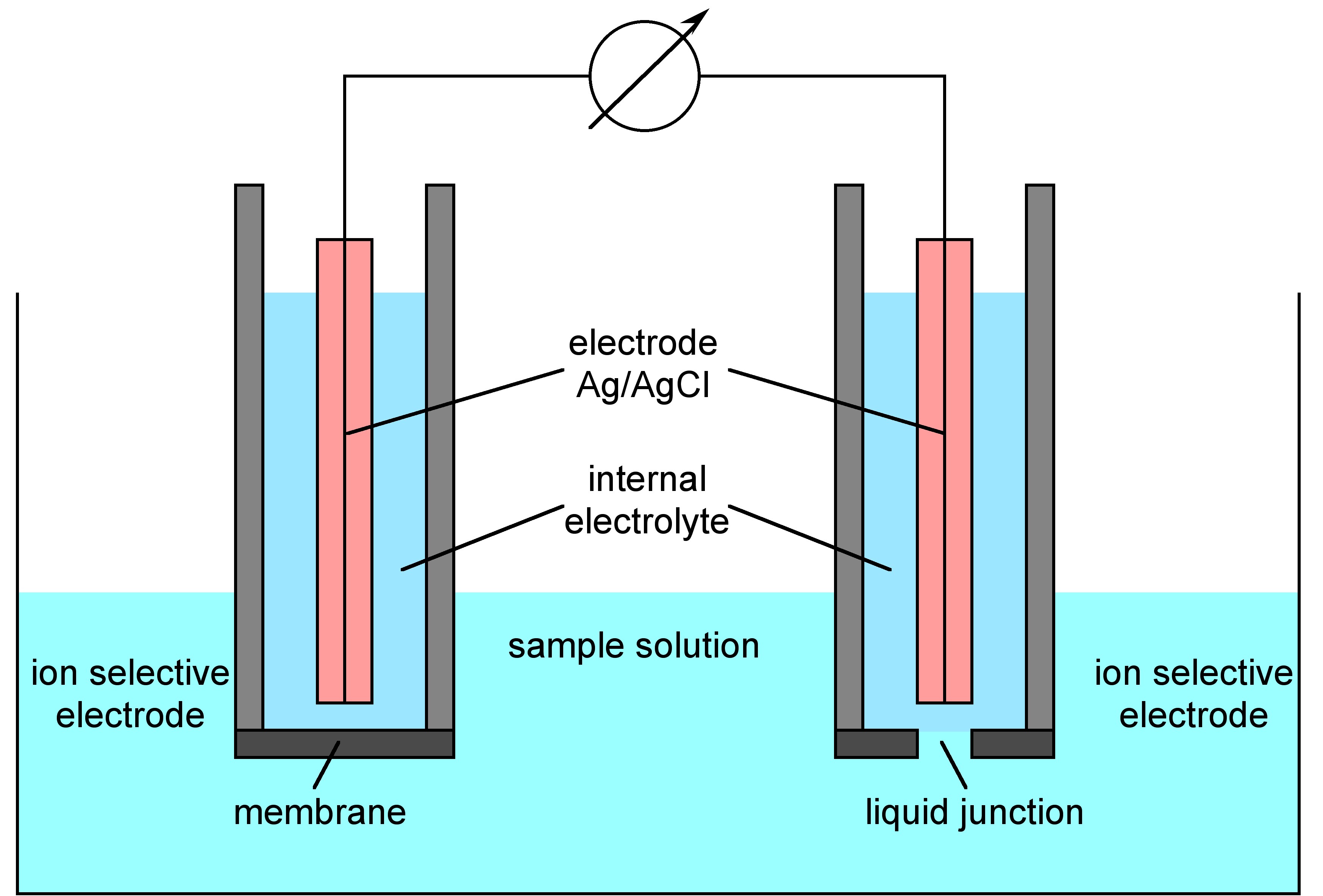 Measurement Setup  Ion Selective Electrode Analysis  By