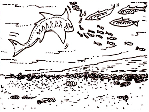 Assessering, Om sedimentêre gesteentes as ‘n tipe gesteente, By ...