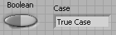 A field with a Boolean button and a case field containing 'True Case'.