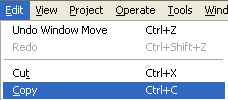 A typical edit menu in Windows with the item 'copy' highlighted.
