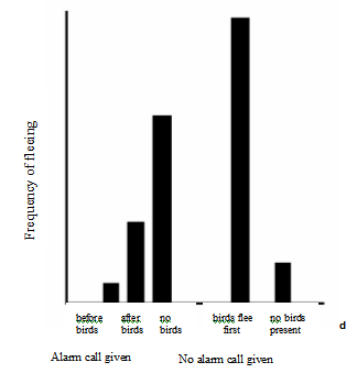 a chart about the frequency of fleeing in mongooses.