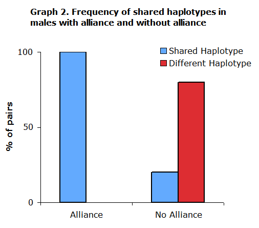 a chart showing the frequency of shared haplotypes in males with alliance and without alliance.