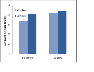 Differences in the amount of time spent on foraging on different patches compared between wild and domesticated pigs.