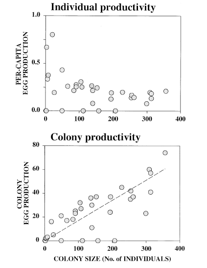 two graphs of egg productivity the first the per-capita egg productivity and total colony egg productivity.