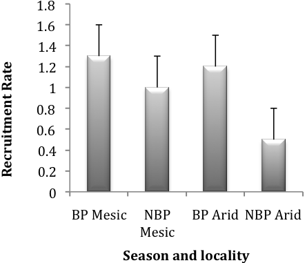 A chart of the average annual recruitment rates amount mole-rats.