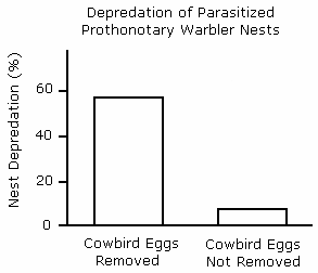 A chart of nest depredation rates.