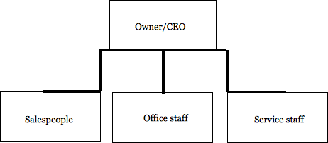 A flat organization. The owner, or CEO, is in charge of the salespeople, office staff, and service staff.