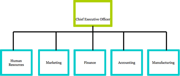 Chief executive officer overseeing human resources, marketing, finance, accounting, and manufacturing.