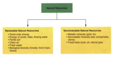 chart comparing types of natural resources
