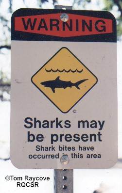 a sign warning of the presence of sharks
