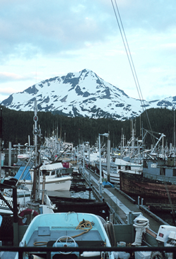 a photograph of fishing boats