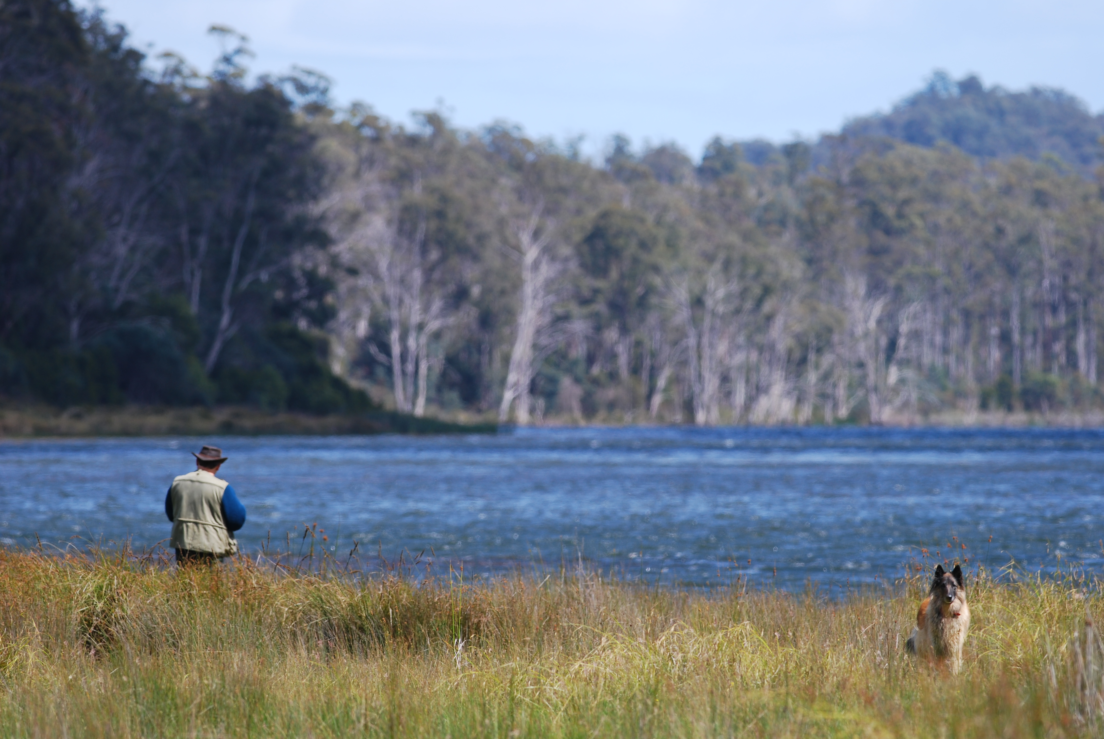 a photograph of a man fishing