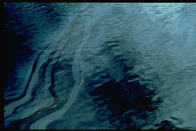 Exxon Valdez Oil Spill