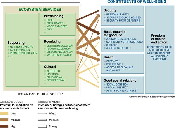 Ecosystem Services