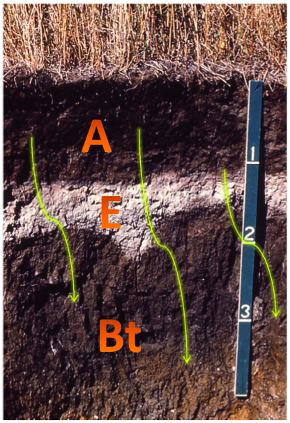 Soil Profile