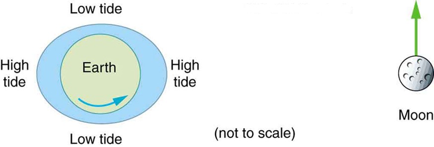 The given figure shows an ellipse, inside which there is a circular image of the Earth. There is a curved arrow in the lower part of the Earth’s image pointing in the counterclockwise direction. The right and left side of the ellipse are labeled as High tide and the top and bottom side are labeled as Low tide. Alongside this image a circular image of the Moon is also given with dots showing the crates over it. A vertically upwards vector from its top is also shown, which indicates the direction of the Moon’s velocity.