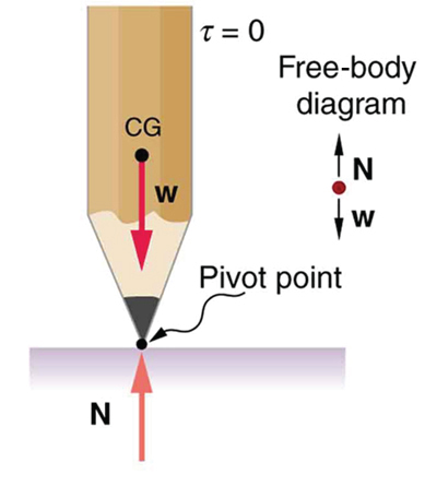 A vertical pencil balanced at its sharp end is shown. The weight of the pencil is acting at its center of gravity and is in the line with the normal reaction N at the pivot point of the pencil.