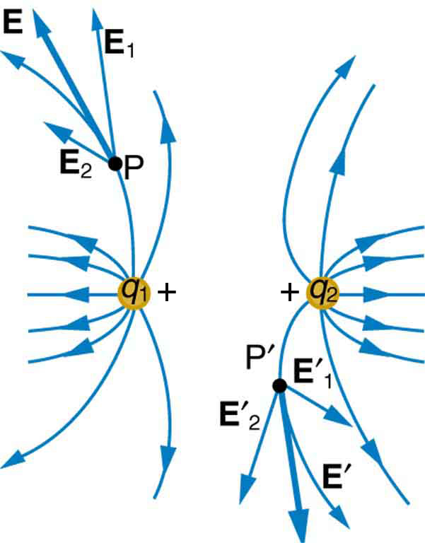 Two charges q one and q two are placed at a distance and their field lines shown by curved arrows move away from each other. At a point P on the field lines emanating from q one, the resultant electric field is represented by a vector arrow tangent to the curve representing this field line. A point P prime on a field line emanating from the charge q two and the resultant electric field is represented by a vector arrow tangent to the curve representing this field line.