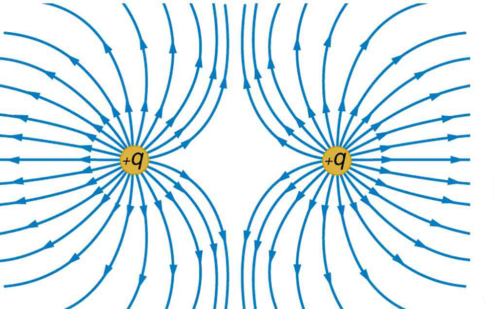 The figure shows two positive charges with electric field lines curving away from each of the charges.