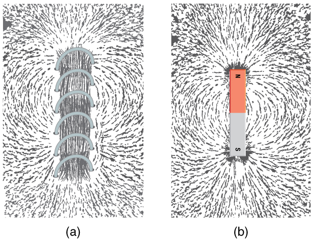 The arrangement of iron filings as they are affected by a metal coil that is carrying an electric current and a bar magnet. At the poles of the magnet, the filings are aligned radially to the poles. Between the poles, the filings are roughly parallel to the magnet. Thus, from one pole to the other, the filings have an arcuate arrangement. The density of filings is very high at the poles and relatively low on either side of the center of the magnet. The arrangement is similar around the current-carrying coil.