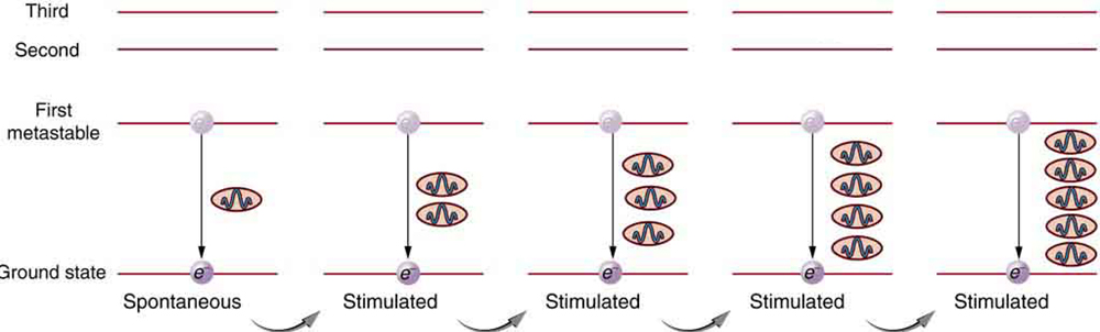 Several layers of parallel lines showing different levels of energy of an atom. The lowest level is ground state, one level up is first metastable state, next level is second metastable state, and so on. There are five steps shown. In the first step, an atom drops from the first metastable to the ground state, emitting a photon. This drop is spontaneous. In the second step, the emitted photo stimulates another atom to drop from the first metastable to the ground state, emitting another photons. In the third step, an atom is stimulated to drop, emitting a third photon.  The process continues with a fourth and fifth step.