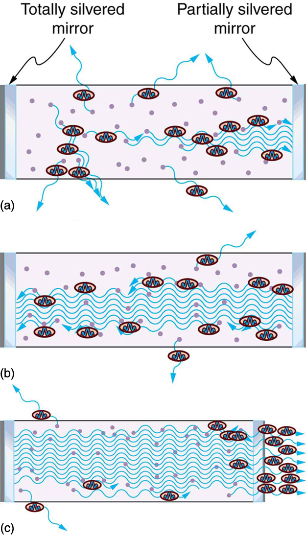 There are three schematic figures showing the construction of a laser. The first figure shows two mirrors. One is a totally silvered mirror on left side and one partially silvered mirror on right side. Thus spontaneous emission begins with some photons escaping and others stimulating further emissions. The next figure shows an increase in stimulated emission by reflection of photons by mirrors. The final figure shows an increased number of stimulated photons escaping the partially silvered mirror on the right side.