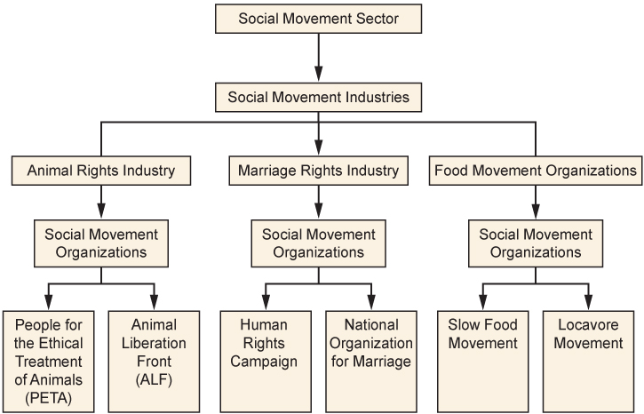 A flow chart summarizing the social movement sector.