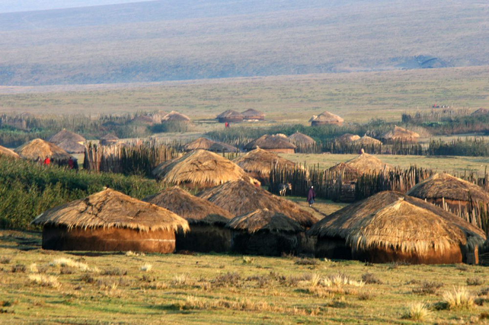 A number of thatch huts on a grassland are shown.