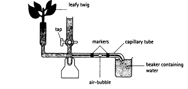 rate of transpiration experiment