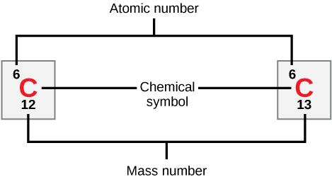 Carbon is indicated by its atomic symbol, a capital C. Carbon has the atomic number six and two stable isotopes, carbon-12 and carbon-13.