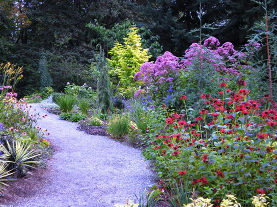  Photo shows a winding pathway bordered by flowers in a variety of colors and shapes.