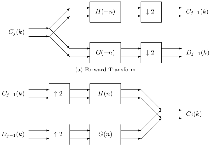 Discrete Multiwavelet Transform