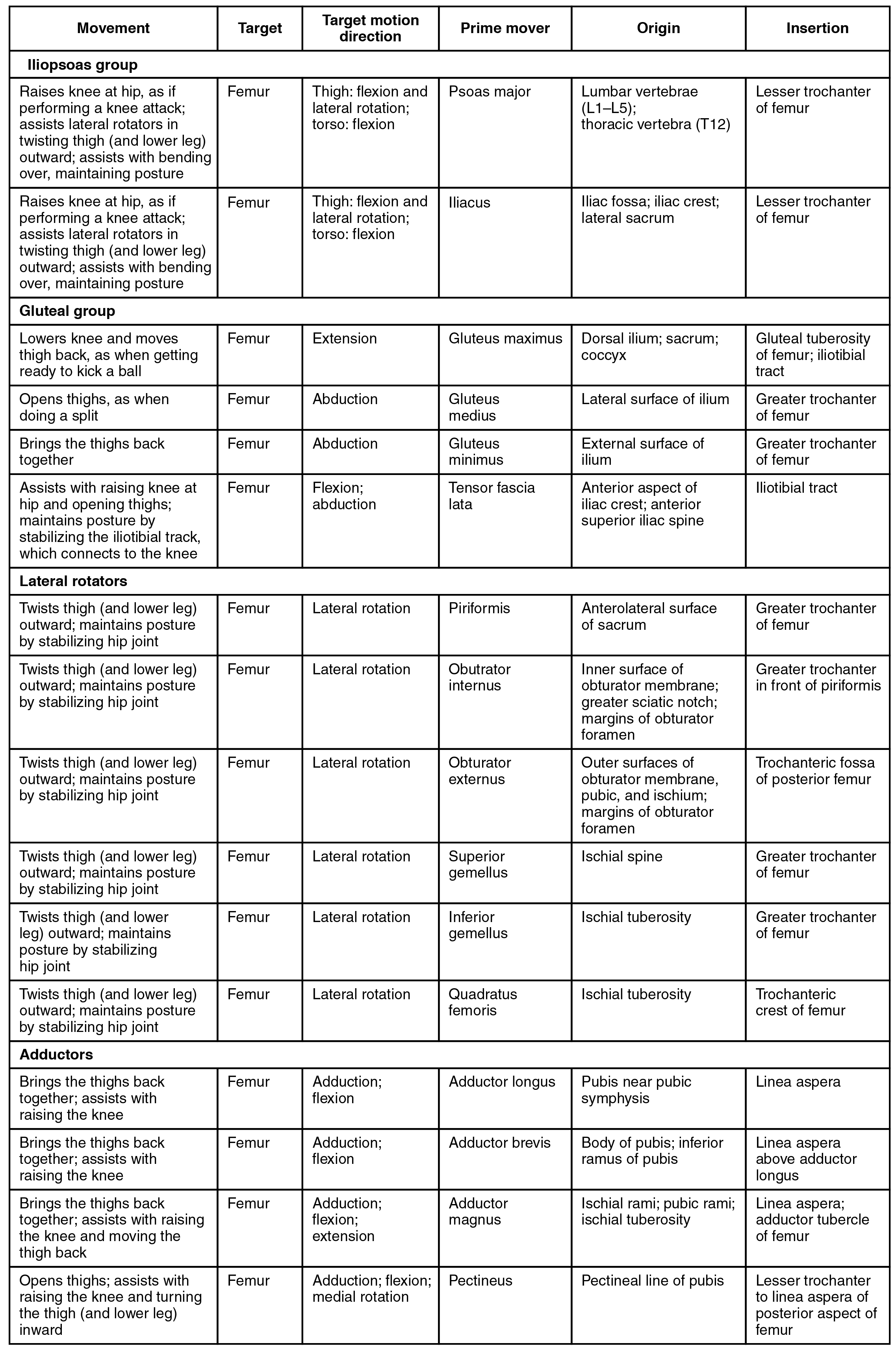 This table describes gluteal region muscles that move the femur. These muscles make up the iliopsoas group. The psoas major raises the knee at the hip, as if performing a knee attack; it also assists the lateral rotators in twisting the thigh (and lower leg) outward, and assists with bending over and maintaining posture. It originates in the lumbar vertebrae (L1 through L5) and thoracic vertebra (T12). The iliacus raises the knee at the hip, as if performing a knee attack; it also assists the lateral rotators in twisting the thigh (and lower leg) outward, and assists with bending over and maintaining posture. It originates in the iliac fossa, iliac crest, and lateral sacrum. These muscles make up the gluteal group. The gluteous maximus lowers the knee and moves the thigh back, as when getting ready to kick a ball. It originates in the dorsal ilium, sacrum, and coccyx. The gluteus medius opens the thigh, as when doing a split. It originates in the lateral surface of the ilium. The gluteus minimus brings the thighs back together. It originates in the external surface of the ilium. The tensor fascia lata assists with raising the knee at the hip and opening the thighs; it also maintains posture by stabilizing the iliotibial track, which connects to the knee. It originates in the anterior aspect of the iliac crest and the anterior superior iliac spine. These muscles make up the lateral rotators. The piriformis twists the thigh (and lower leg) outward; it also maintains posture by stabilizing the hip joint. It originates in the anterolateral surface of the sacrum. The obturator internus twists the thigh (and lower leg) outward; it also maintains posture by stabilizing the hip joint. It originates in the inner surface of the obturator membrane, the greater sciatic notch, and the margins of the obturator foramen. The superior gemellus twists the thigh (and lower leg) outward; it also maintains posture by stabilizing the hip joint. It originates in the ischial spine. The inferior gemellus twists the thigh (and lower leg) outward; it also maintains posture by stabilizing the hip joint. It originates in the ischial tuberosity. The quatratus femoris twists the thigh (and lower leg) outward; it also maints posture by stabilizing the hip joint. It originates in the ischial tuberosity. These muscles are adductors. The adductor longus brings the thighs back together; it also assists with raising the knee. It originates in the pubis near the pubic symphysis. The adductor brevis brings the thighs back together; it also assists with raising the knee. It originates in teh body of the pubis and in the inferior ramus of the pubis. The adductor magnus brings the thighs back together; it also assists with raising the knee and moving the thigh back. It originates in the ischial rami, the pubic rami, and the ischial tuberosity. The pectineus opens the thigh; it also assists with raising the knee and turning the thigh (and lower leg) inward. It originates in the pectineal line of the pubis.