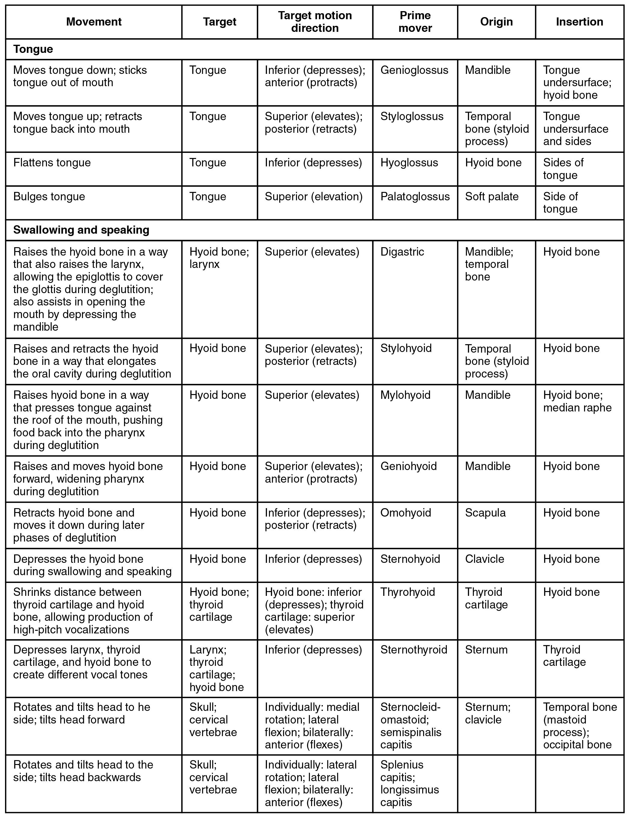 This table describes the muscles used in tongue movement, swallowing, and speech. The genioglossus moves the tongue down and sticks the tongue out of the mouth. It originates in the mandible. The styloglossus moves the tongue up and retracts the tongue back into the mouth. It originates in the temporal bone. The hyoglossus flattens the tongue. It originates in the hyoid bone. The palatoglossus bulges the tongue. It originates in the soft palate. The digastric raises the hyoid bone in a way that also raises the larynx, allowing the epiglottis to cover the glottis during deglutition; it also assists in opening the mouth by depressing the mandible. It originates in the mandible and temporal bone. The stylohyoid raises and retracts the hyoid bone in a way that elongates the oral cavity during deglutition. It originates in the temporal bone. The mylohyoid raises the hyoid bone in a way that presses the tongue against the roof of the mouth, pushing food back into the pharynx during deglutition. It originates in the mandible. The geniohyoid raises and moves the hyoid bone forward, widening the pharynx during deglutition. It originates in the mandible. The ornohyoid retracts the hyoid bone and moves it down during later phases of deglutition. It originates in the scapula. The sternohyoid depresses the hyoid bone during swallowing and speaking. It originates in the clavicle. The thyrohyoid shrinks the distance between thyroid cartilage and the hyoid bone, allowing production of high-pitch vocalizations. It originates in the hyroid cartilage. The sternothyroid depresses the larynx, thyroid cartilage, and hyoid bone to create different vocal tones. It originates in the sternum. The sternocleidomastoid and semispinalis capitis rotate and tilt the head to the side and forward. They originate in the sternum and clavicle. The splenius capitis and longissimus capitis rotate and tilt the head to the side and backwards.