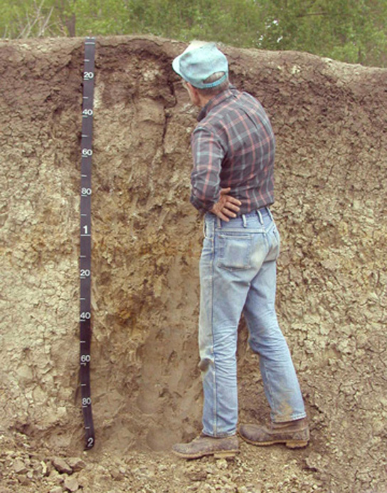  Photo shows a man standing next to a wall of soil in a pit that is as deep as he is tall.