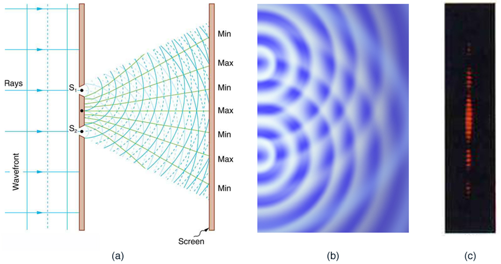 The figure contains three parts. The first part is a drawing that shows parallel wavefronts approaching a wall from the left. Crests are shown as continuous lines, and troughs are shown as dotted lines. Two light rays pass through small slits in the wall and emerge in a fan-like pattern from two slits. These lines fan out to the right until they hit the right-hand wall. The points where these fan lines hit the right-hand wall are alternately labeled min and max. The min points correspond to lines that connect the overlapping crests and troughs, and the max points correspond to the lines that connect the overlapping crests. The second drawing is a view from above of a pool of water with semicircular wavefronts emanating from two points on the left side of the pool that are arranged one above the other. These semicircular waves overlap with each other and form a pattern much like the pattern formed by the arcs in the first image.  The third drawing shows a vertical dotted line, with some dots appearing brighter than other dots. The brightness pattern is symmetric about the midpoint of this line. The dots near the midpoint are the brightest. As you move from the midpoint up, or down, the dots become progressively dimmer until there seems to be a dot missing. If you progress still farther from the midpoint, the dots appear again and get brighter, but are much less bright than the central dots. If you progress still farther from the midpoint, the dots get dimmer again and then disappear again, which is where the dotted line stops.