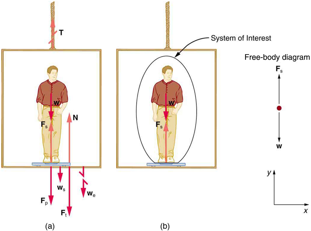 A person is standing on a bathroom scale in an elevator. His weight w is shown by an arrow pointing downward. F sub s is the force of the scale on the person, shown by a vector starting from his feet pointing vertically upward. W sub s is the weight of the scale pointing vertically downward. W sub e is the weight of the elevator, shown by the broken arrow pointing vertically downward. F sub p is the force of the person on the scale, acting vertically downward. F sub t is the force of the scale on the floor of the elevator, pointing vertically downward, and N is the normal force of the floor on the scale, pointing upward. (b) The same person is shown on the scale in the elevator, but only a few forces are shown acting on the person, which is our system of interest. W is shown by an arrow acting downward, and F sub s is the force of the scale on the person, shown by a vector starting from his feet pointing vertically upward. The free-body diagram is also shown, with two forces acting on a point. F sub s acts vertically upward, and w acts vertically downward.