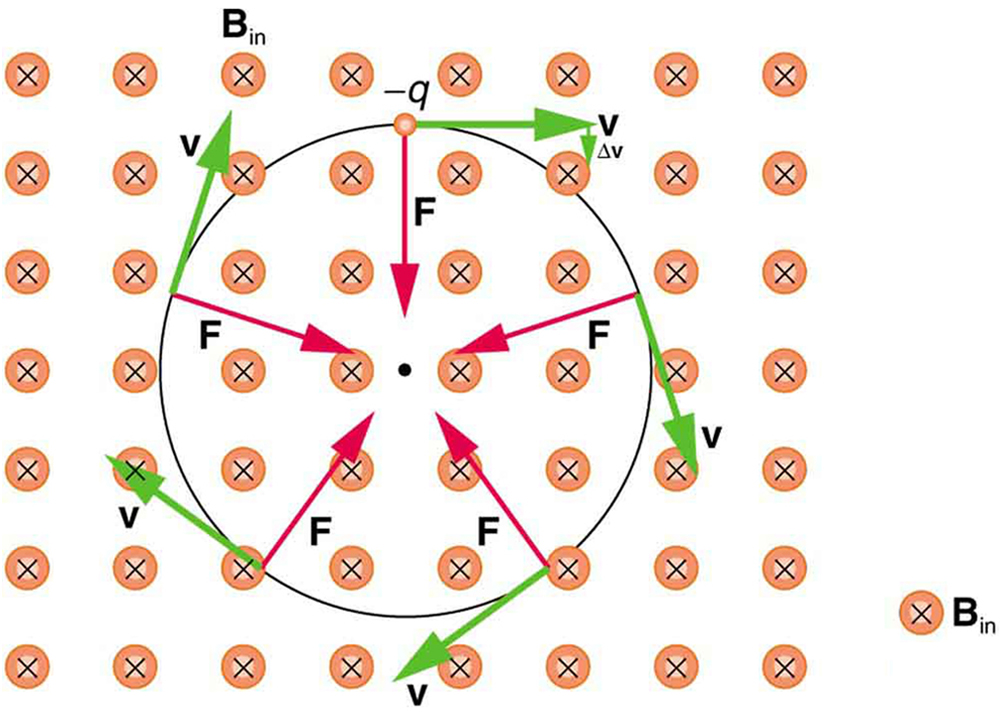 Diagram showing an electrical charge moving clockwise in the plane of the page. Velocity vectors are tangent to the circular path. The magnetic field B is oriented into the page. Force vectors show that the force on the charge is toward the center of the charge’s circular path as the charge moves.