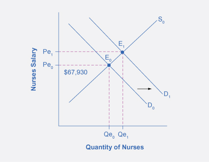 The graph shows an increase in the demand for and nurses from D0 to D1.