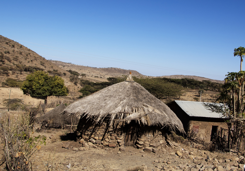 Figure (a) shows a grass hut.