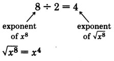 Eight divided by two is equal to four. There is an arrow pointing  towards eight that is labeled as 