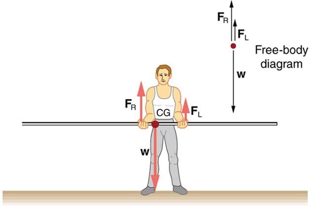 A pole vaulter is standing on the ground holding a pole with his two hands. The center of gravity of the pole is between the hands of the pole vaulter and is near the right hand of the man. The weight W is shown as an arrow downward toward center of gravity. The reactions F sub R and F sub L of the hands of the man are shown with vectors in upward direction. A free body diagram of the situation is shown on the top right side of the figure.