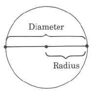 A circle with a line directly through the middle, ending at the edges of the shape. The entire length of the line is labeled diameter, and the length of the portion of the line from the center of the circle to the edge of the circle is labeled radius.