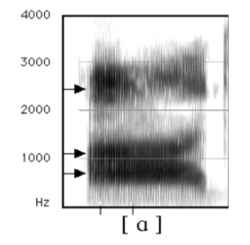 specgram of ah sound