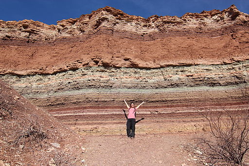 This picture shows a person standing in front of a large rock formation, cut away to show parallel layers of different kinds of rock.