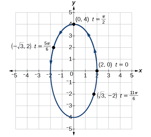 Graph of the given equations - a vertical ellipse.